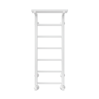 Полотенцесушитель Terminus «Контур с/п» П7 300х800 Белый