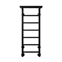 Полотенцесушитель Terminus «Контур с/п» П7 300х800 Черный