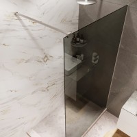 Душевая перегородка типа walk-in свободный вход 900х2000 тонированное стекло / профиль хром