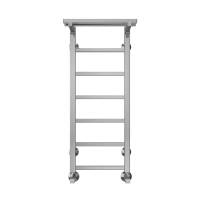 Полотенцесушитель Terminus «Контур с/п» П8 300х900 Хром