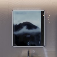 Z_B_VN_800x900_BL Многофункциональное зеркало Vento 800х900 (черный)